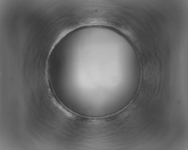 X0000051911374200507011522