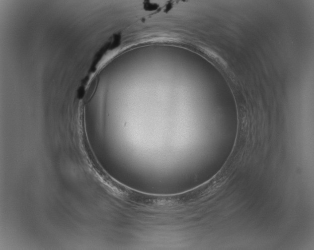 X0000051911375200507011522