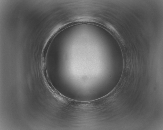 X0000051911376200507011522