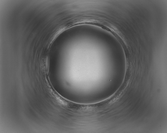 X0000051911377200507011522