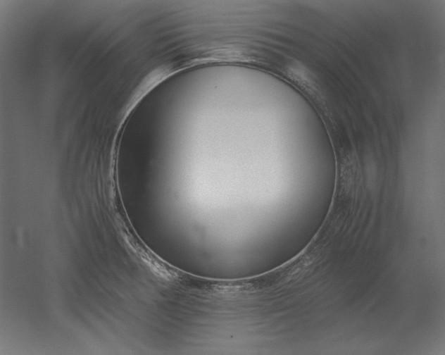 X0000051911378200507011522