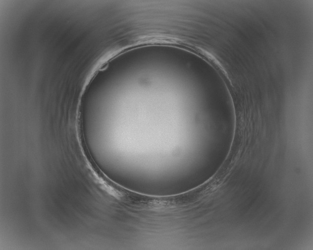 X0000051911379200507011522