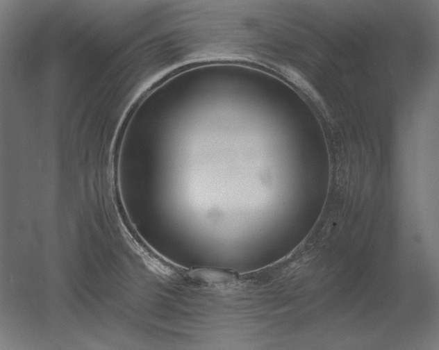 X0000051911380200507011522