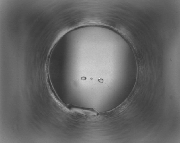 X0000051911382200507011522