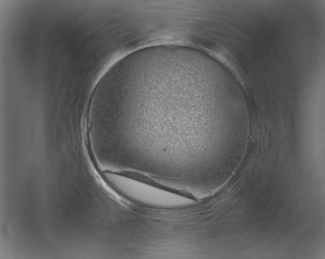 X0000051911383200507011522