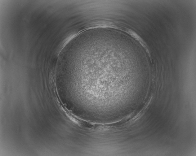 X0000051911385200507011522