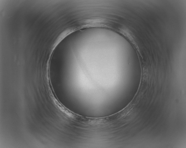 X0000051911386200507011522