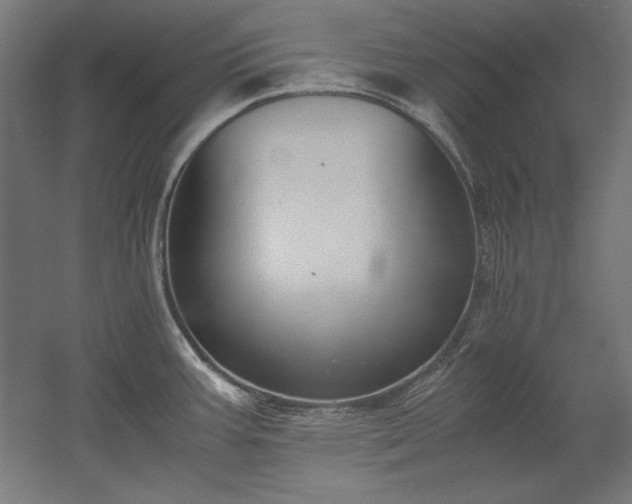 X0000051911387200507011522