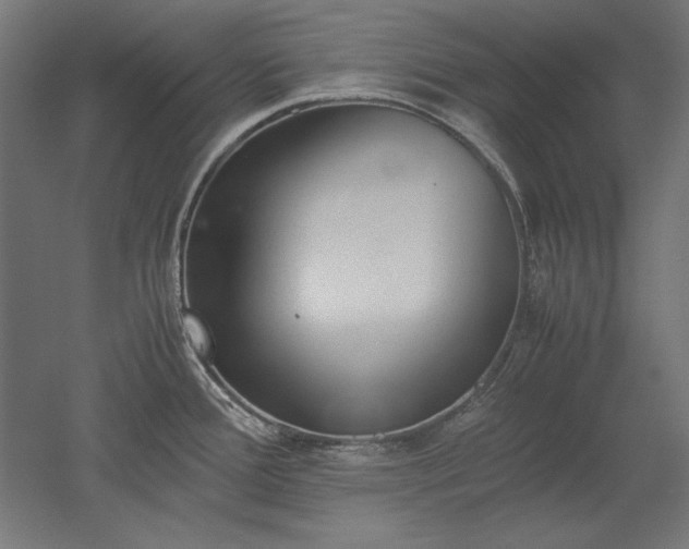 X0000051911388200507011522