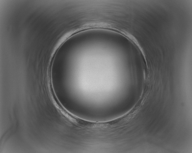 X0000051911389200507011522