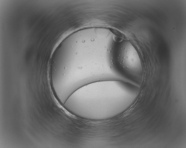 X0000051911390200507011522