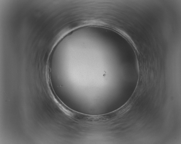 X0000051911391200507011522