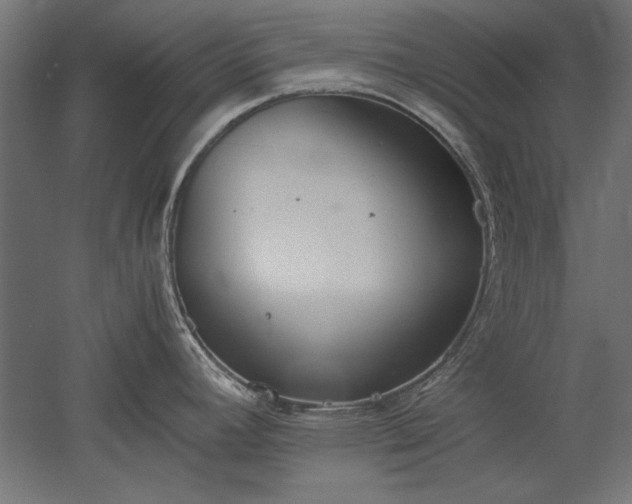 X0000051911392200507011522