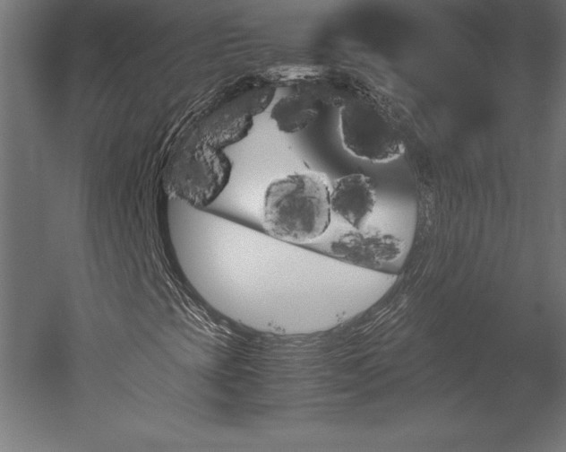 X0000051911393200507011521