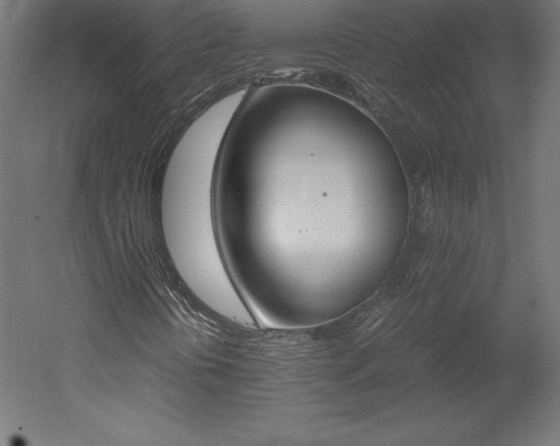 X0000051911394200507011521