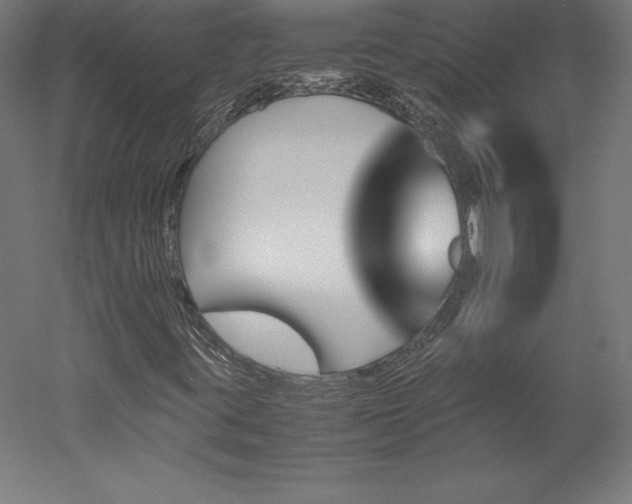 X0000051911395200507011521