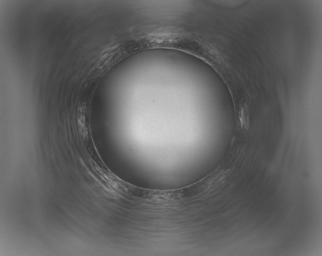 X0000051911396200507011521