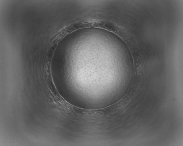 X0000051911397200507011521