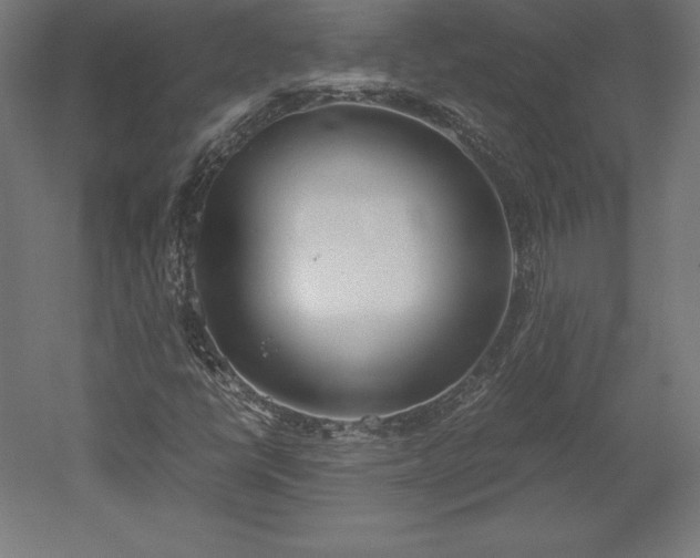 X0000051911398200507011521