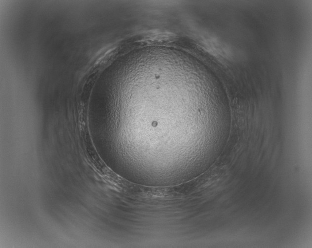 X0000051911399200507011521