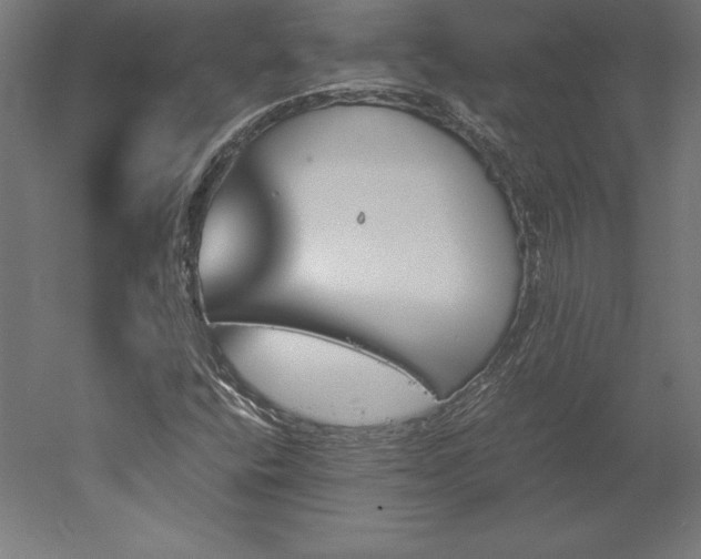 X0000051911400200507011521