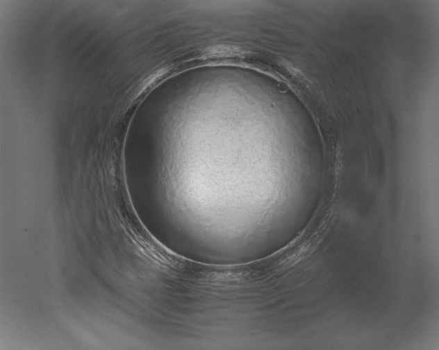 X0000051911401200507011521