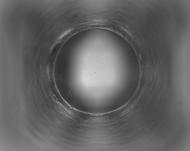 X0000051911402200507011521