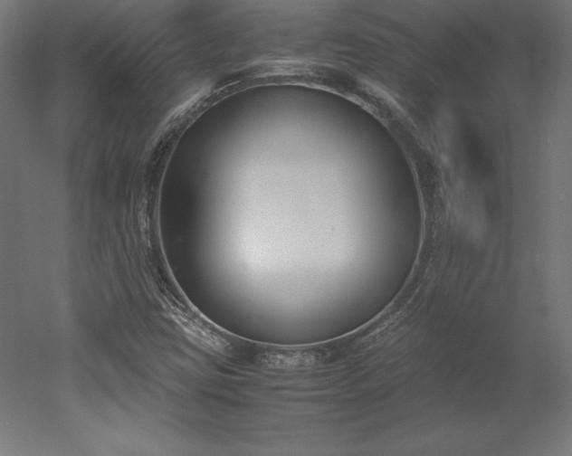 X0000051911403200507011521