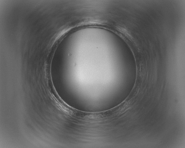 X0000051911404200507011521