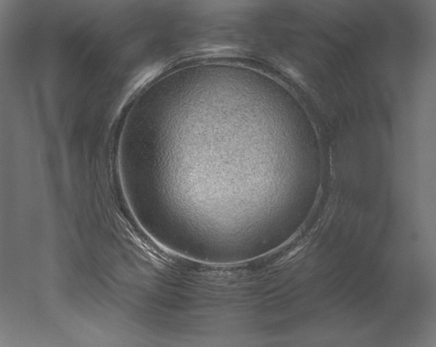 X0000051911405200507011521