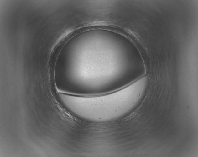 X0000051911406200507011521