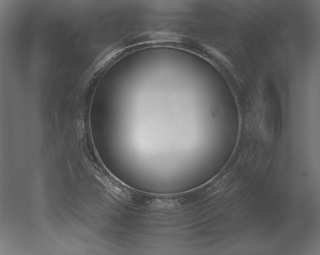 X0000051911407200507011521