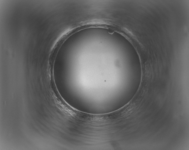 X0000051911408200507011521