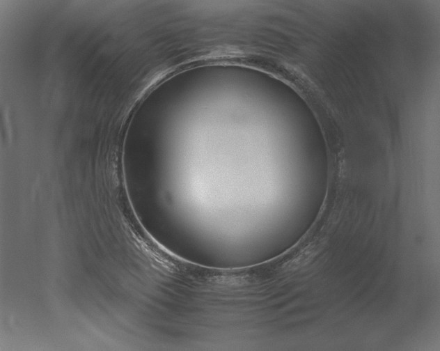 X0000051911409200507011521