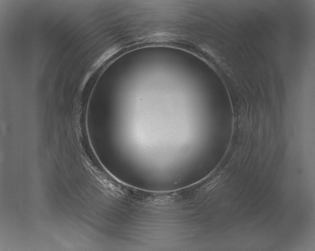 X0000051911410200507011521