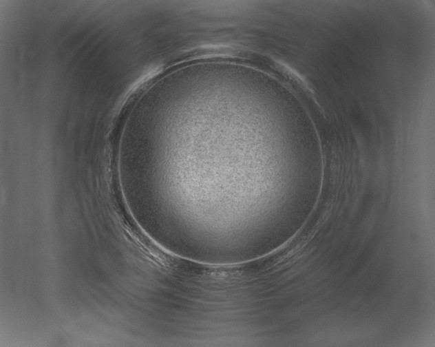 X0000051911411200507011521