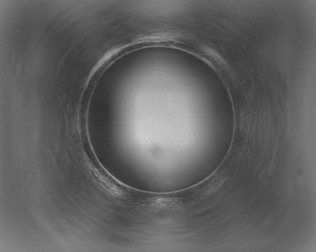 X0000051911412200507011521