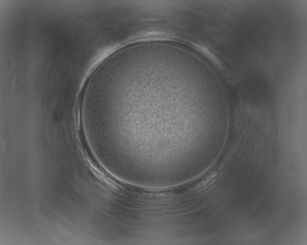 X0000051911413200507011521