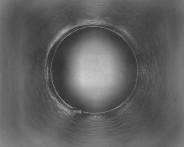 X0000051911414200507011521