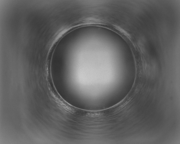 X0000051911415200507011521