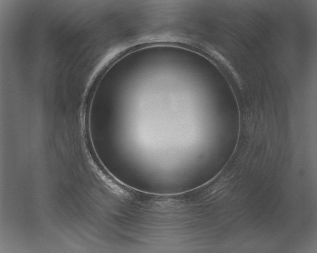 X0000051911416200507011521