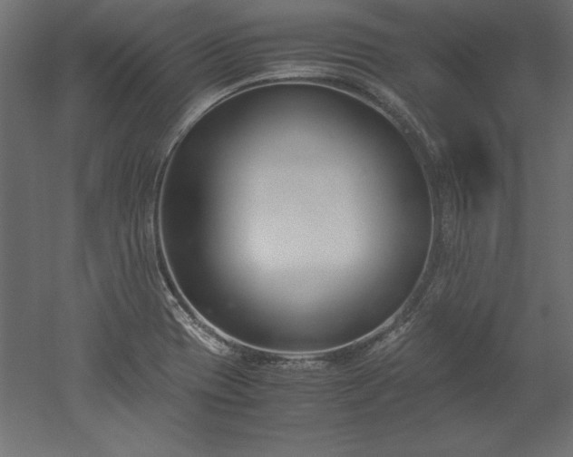 X0000051911417200507011521