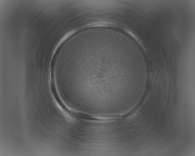 X0000051911418200507011522