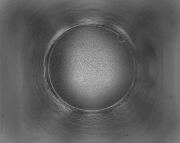 X0000051911419200507011522