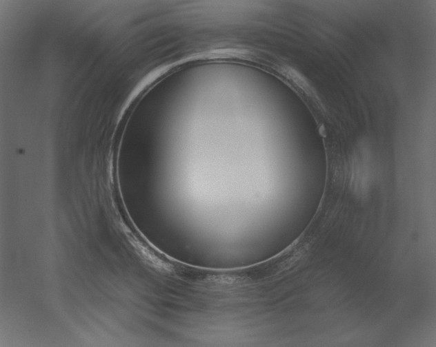 X0000051911420200507011522