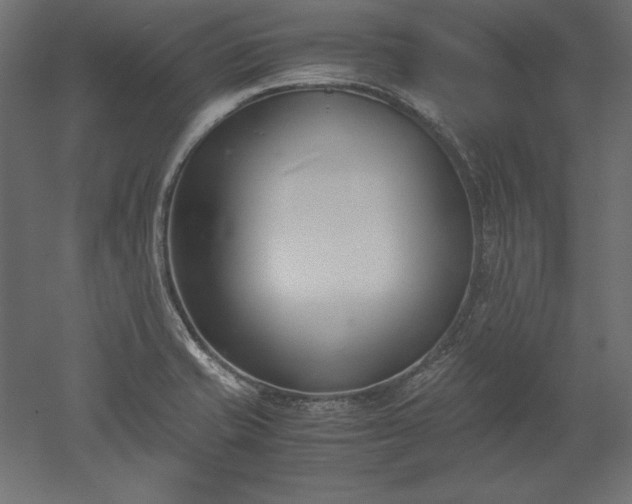 X0000051911421200507011522