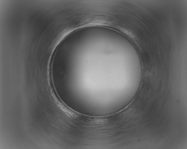 X0000051911423200507011522