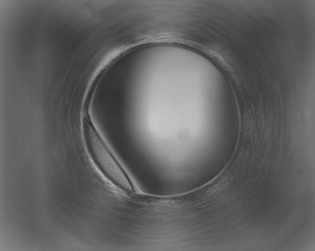 X0000051911424200507011522