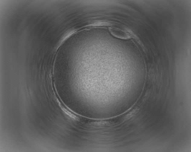 X0000051911425200507011522