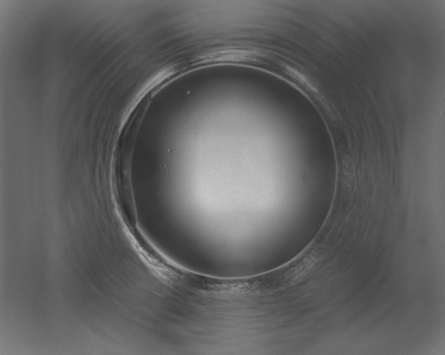 X0000051911426200507011522